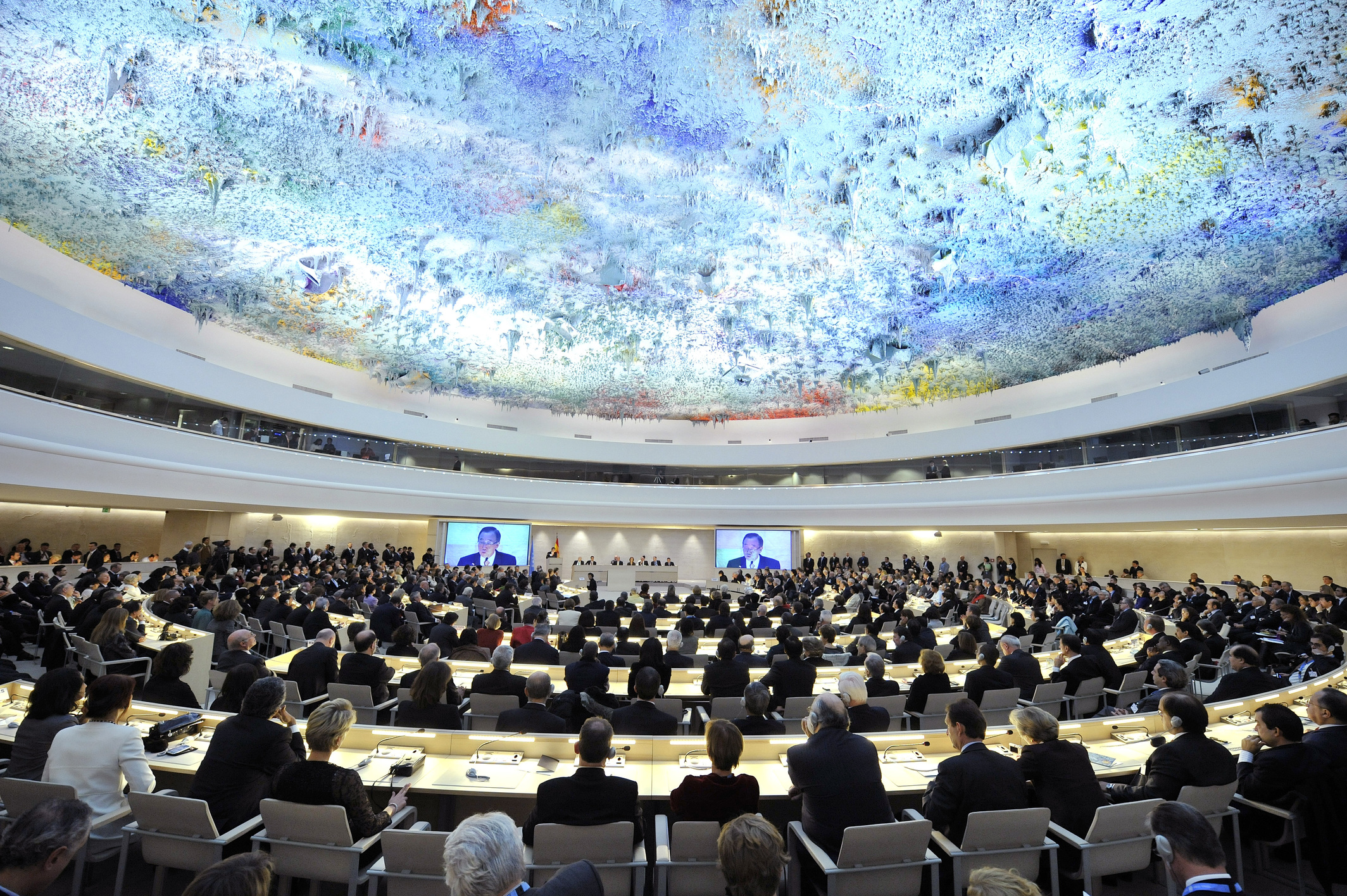 United Nations Human Rights Council